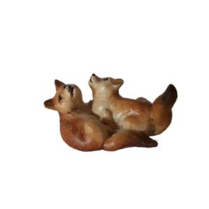 coppia cuccioli di volpe