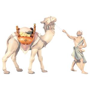 UL Sella per cammello in piedi