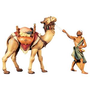 PA Gruppo del cammello in piedi - 3 Pezzi