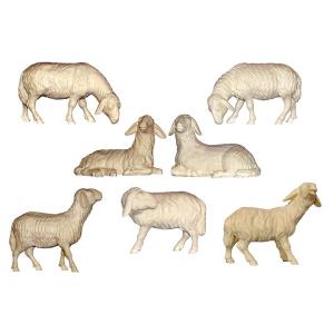 Set 6 Pecore Frassino