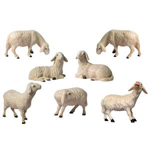 Set 7 Pecore