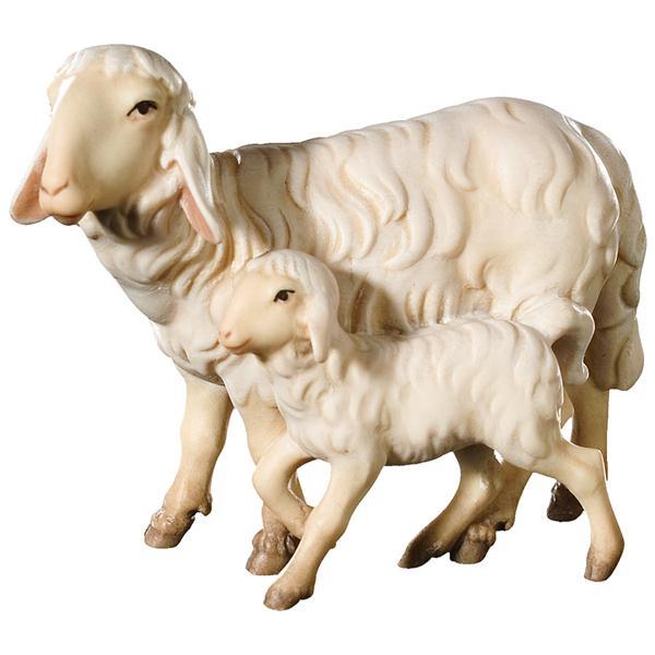 Gruppo pecore in piedi - colorato