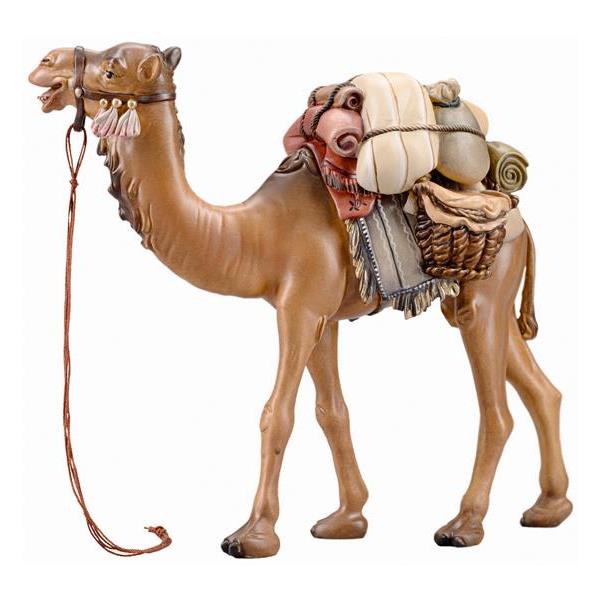 IN Camello con bagagli - colorato
