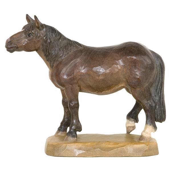 Cavallo Noriker - colorato