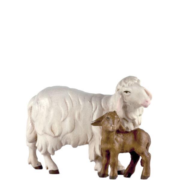 Pecora con 1 agnello - colorato