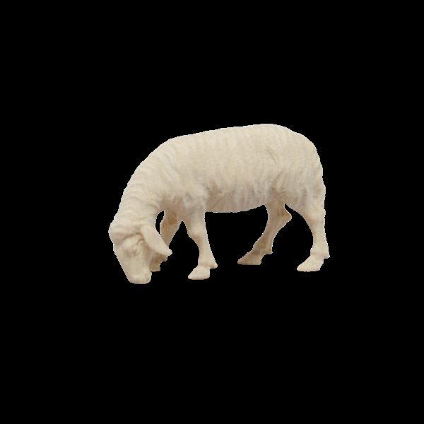 Schaf fressend - naturale