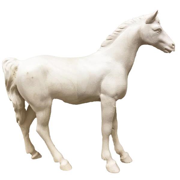 Cavallo bianco - naturale