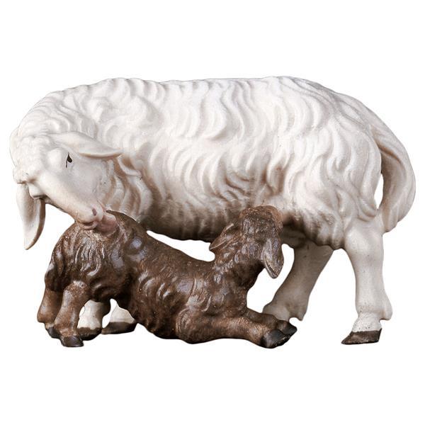 UL Pecora con agnello allattante - colorato