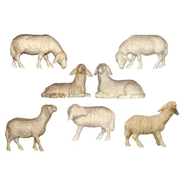 Set 6 Pecore Frassino - naturale