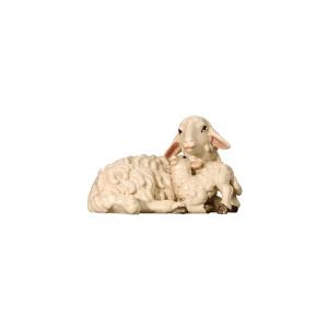Pecora sdraiata con agnello