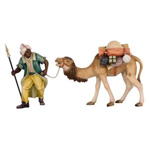 Cammello con cammelliere e bagaglio