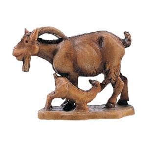 Capra con capretto