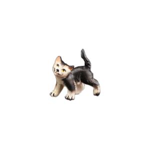 Gattino che corre