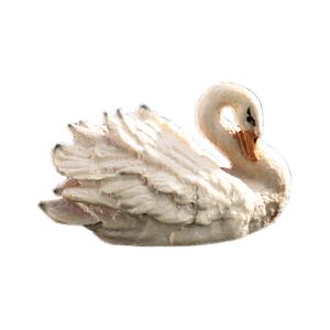 Cigno