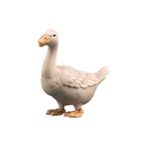 Oca che guarda avanti