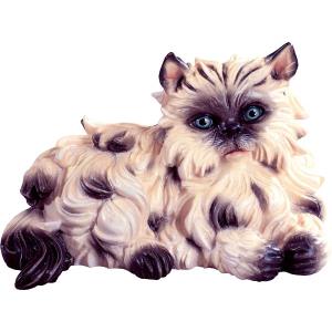 Gatto persiano