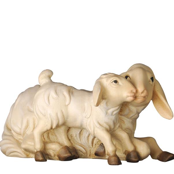 Pecora sdraiata agnello - colorato