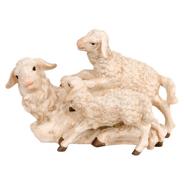 pecora con agnelli - naturale