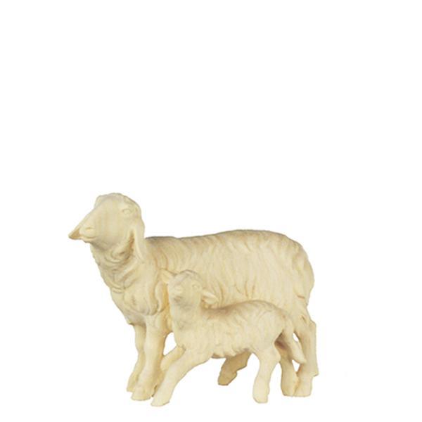 O-Pecora e agnello in piedi - naturale