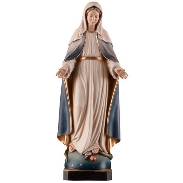 Madonna Immaculata Miracolosa Legno - colorato