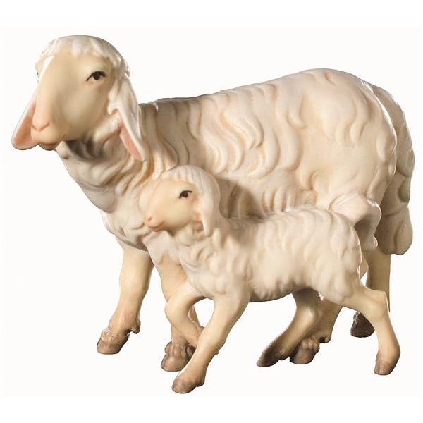Pecora con agnello - naturale