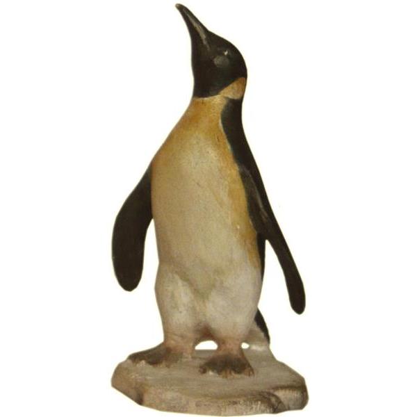Pinguino - colorato