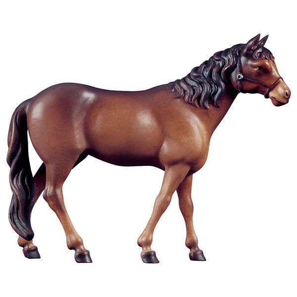 UL Cavallo in piedi - colorato