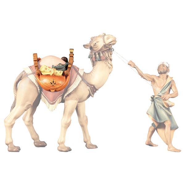 UL Sella per cammello in piedi - colorato