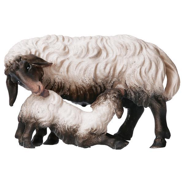 PA Pecora con agnello allattante testa nera - colorato