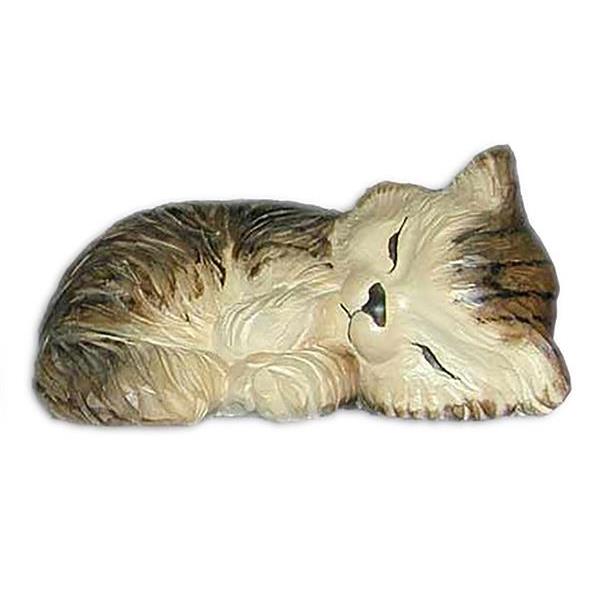 Gatto sdraiato grigio - colorato